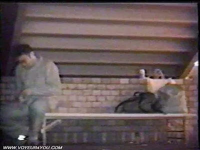 Ett hardcore -möte med Nikki Benz