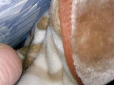 Stygg babe fick ett nytt kontor