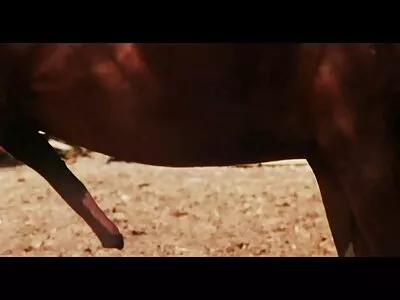 Katerina ger fantastiska bröstknullar