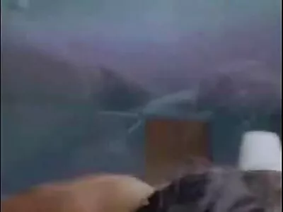 Vacker fru knullar sin nya man