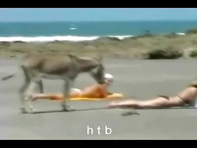 Otäck blondin tillfredsställer sin partner